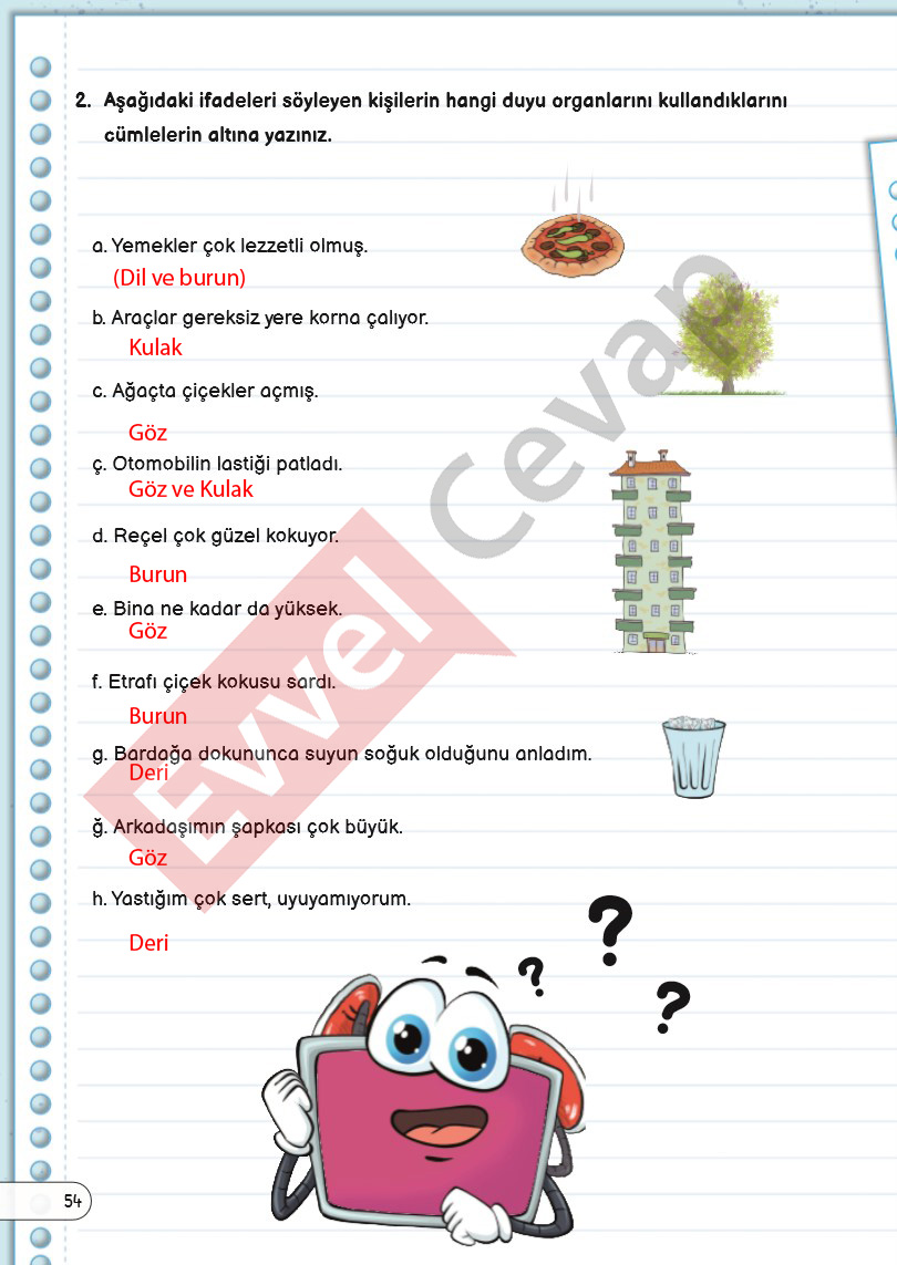 3-sinif-fen-bilimleri-ders-kitabi-cevaplari-sayfa-54