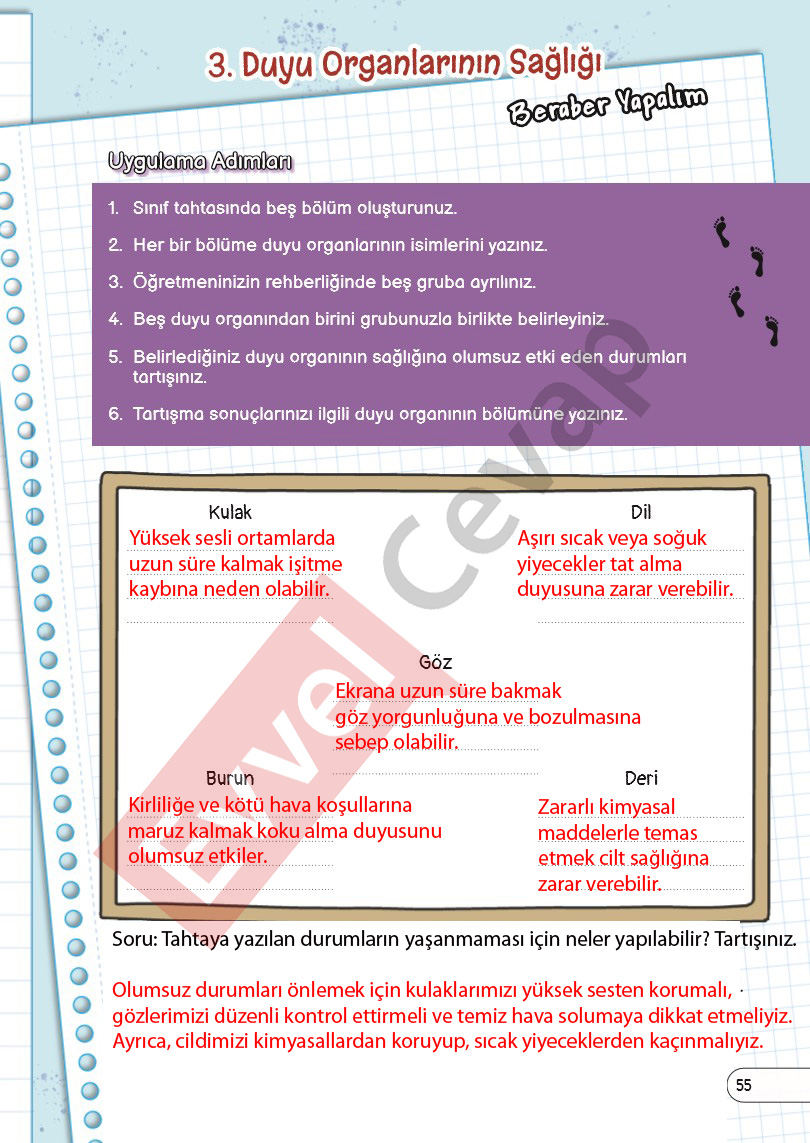 3-sinif-fen-bilimleri-ders-kitabi-cevaplari-sayfa-55