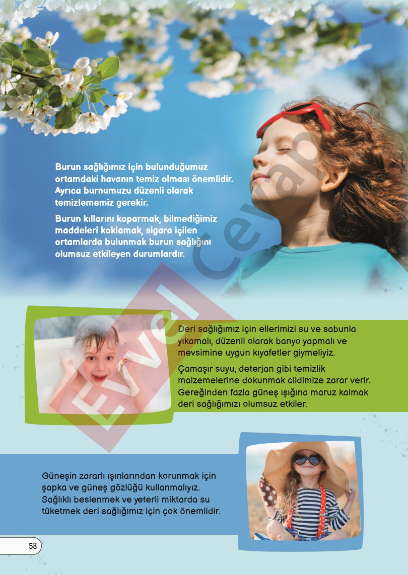 3-sinif-fen-bilimleri-ders-kitabi-cevaplari-sayfa-58