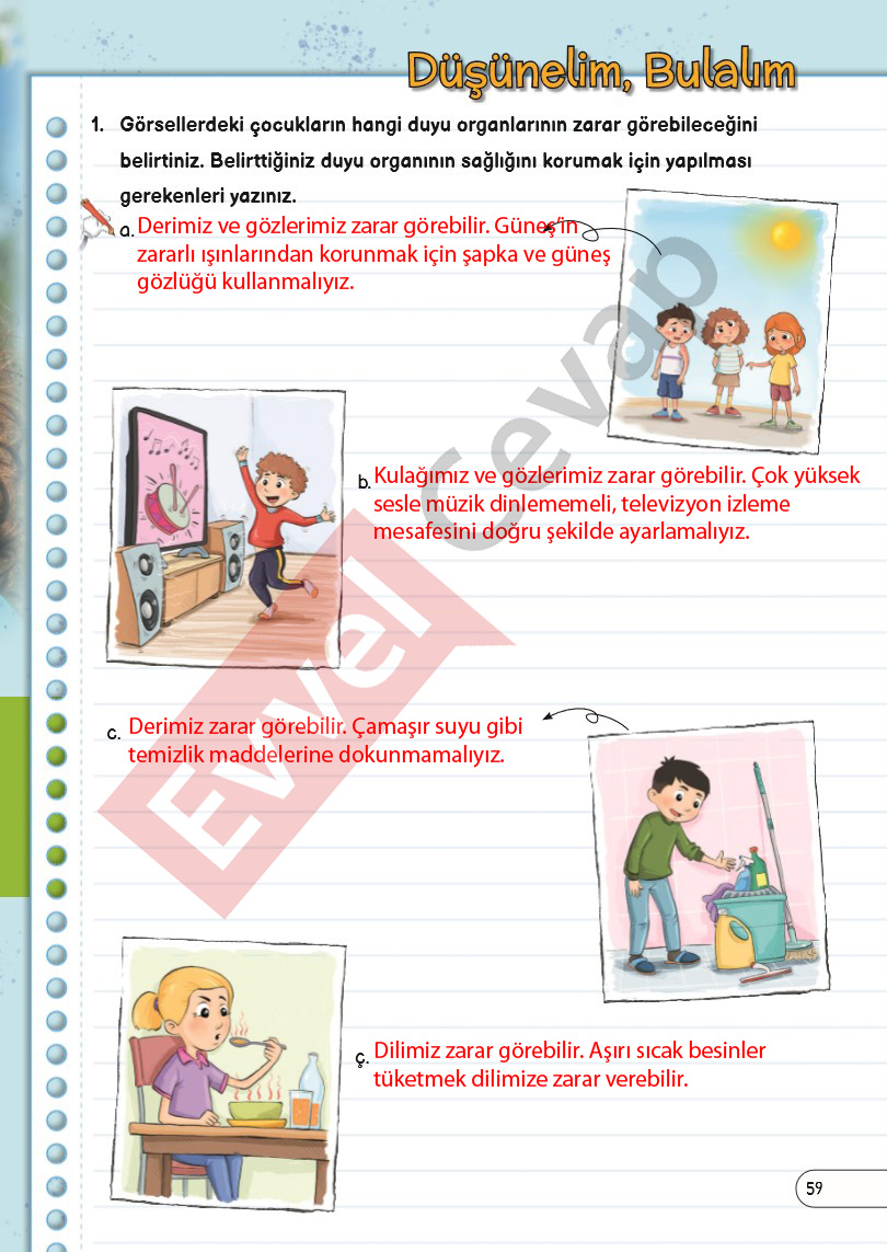 3-sinif-fen-bilimleri-ders-kitabi-cevaplari-sayfa-59