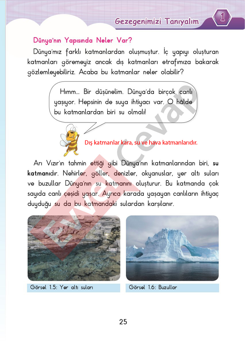 3-sinif-fen-bilimleri-ders-kitabi-cevaplari-sdr-dikey-yayincilik-sayfa-25