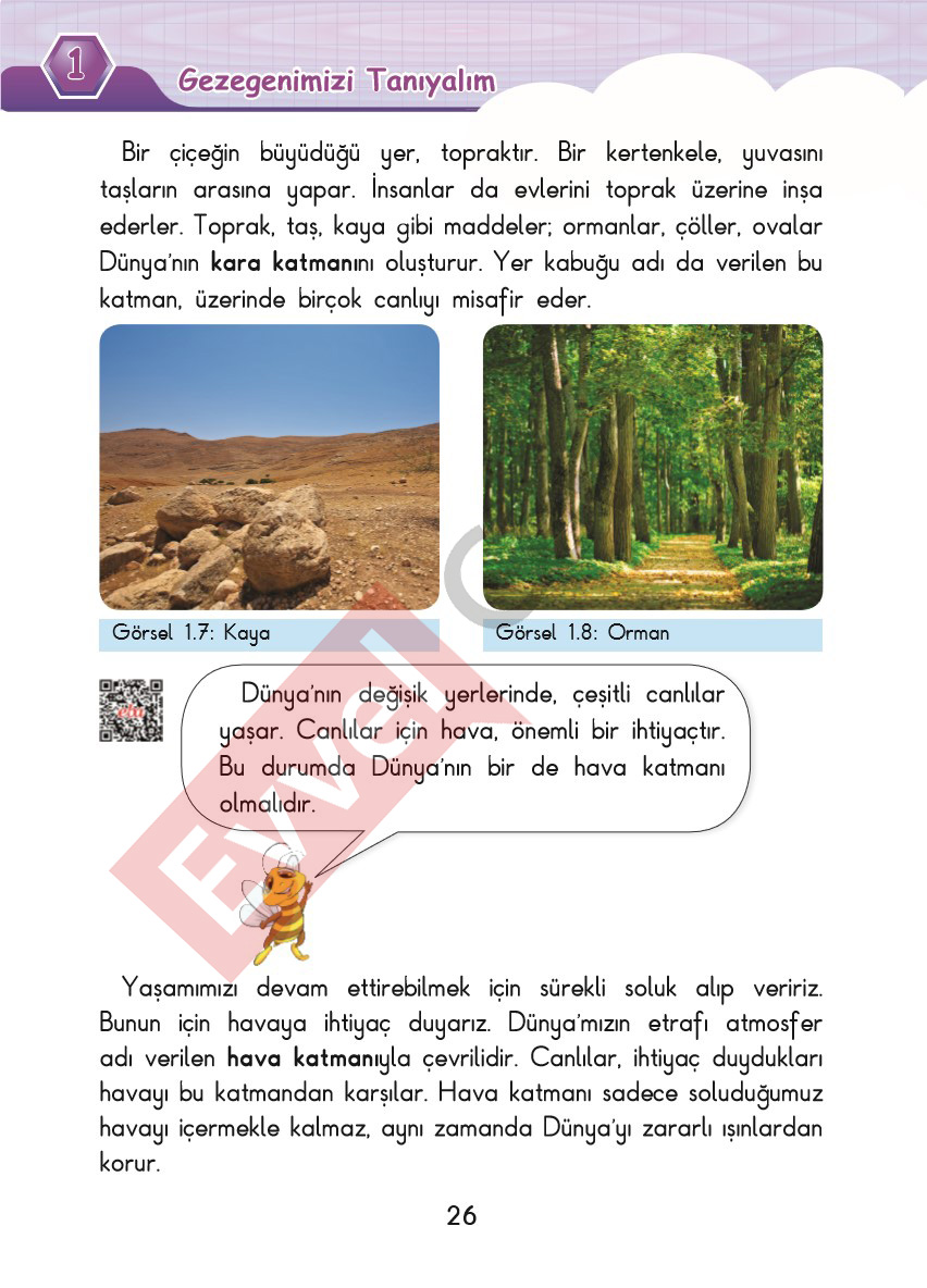 3-sinif-fen-bilimleri-ders-kitabi-cevaplari-sdr-dikey-yayincilik-sayfa-26