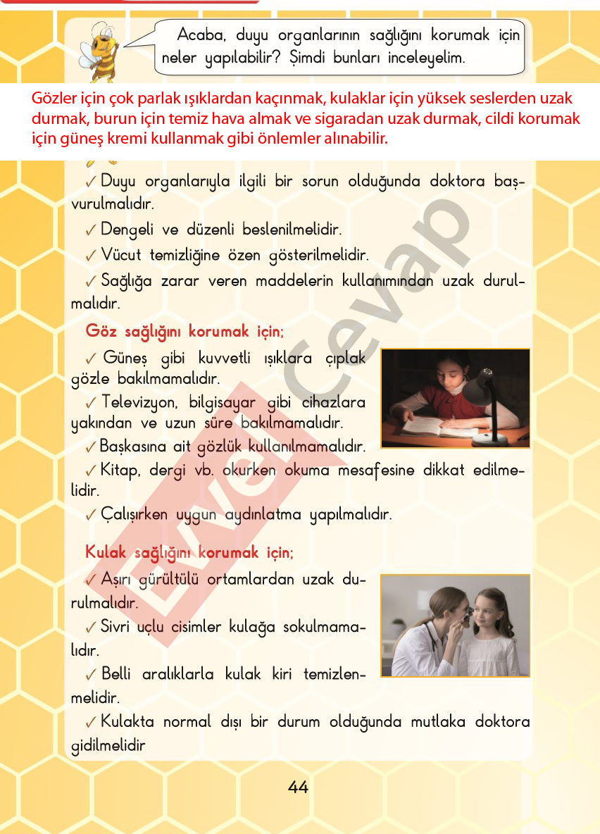 3-sinif-fen-bilimleri-ders-kitabi-cevaplari-sdr-dikey-yayincilik-sayfa-44