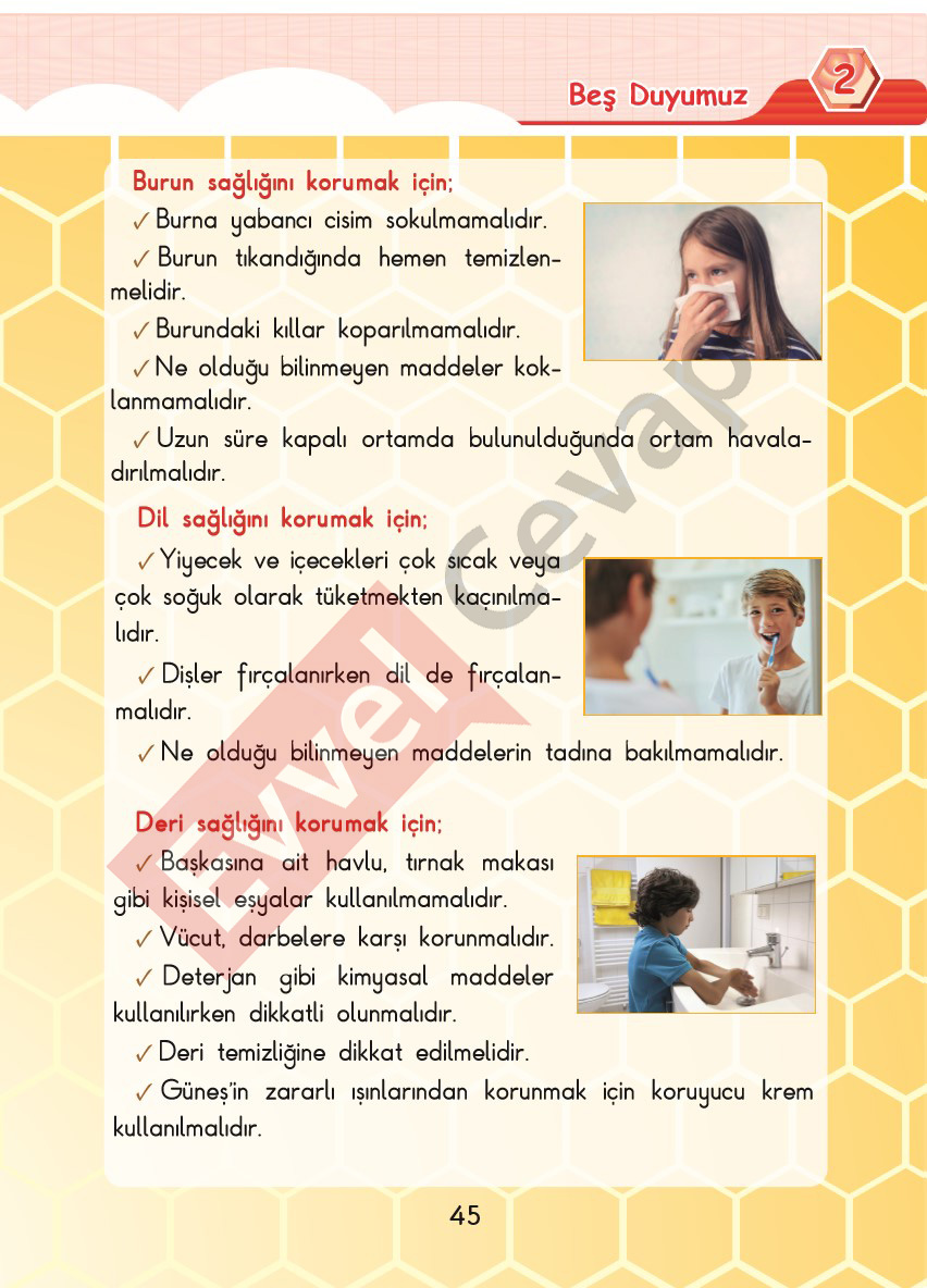 3-sinif-fen-bilimleri-ders-kitabi-cevaplari-sdr-dikey-yayincilik-sayfa-45