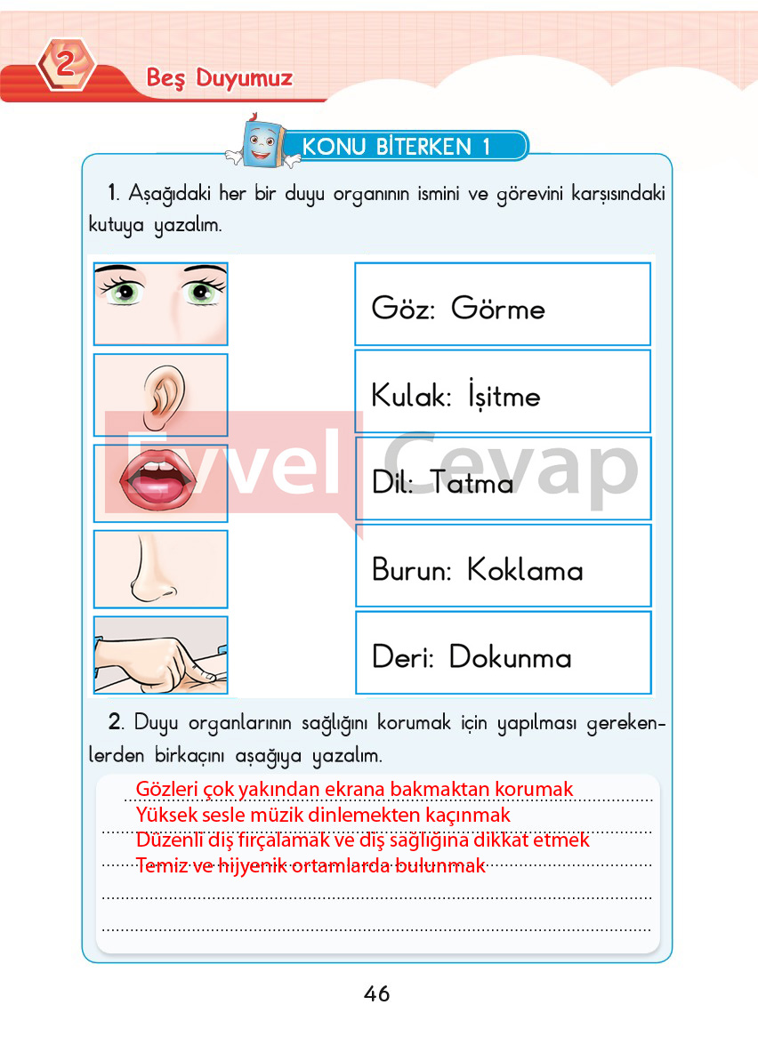 3-sinif-fen-bilimleri-ders-kitabi-cevaplari-sdr-dikey-yayincilik-sayfa-46