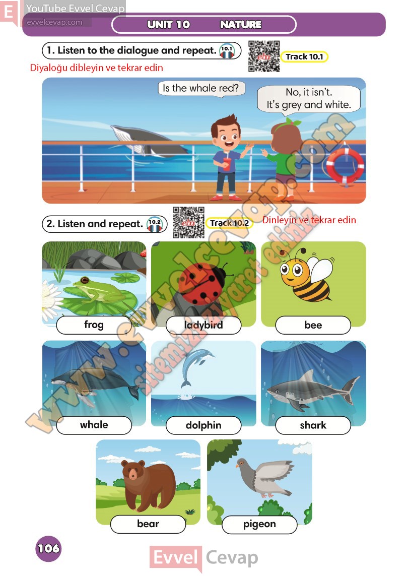 3-sinif-ingilizce-ders-kitabi-cevabi-meb-sayfa-106