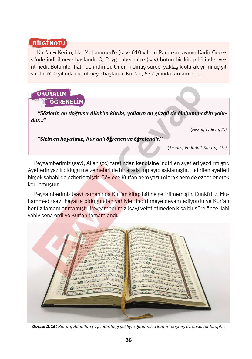 4-sinif-din-kulturu-ders-kitabi-cevaplari-sdr-ipekyolu-sayfa-56