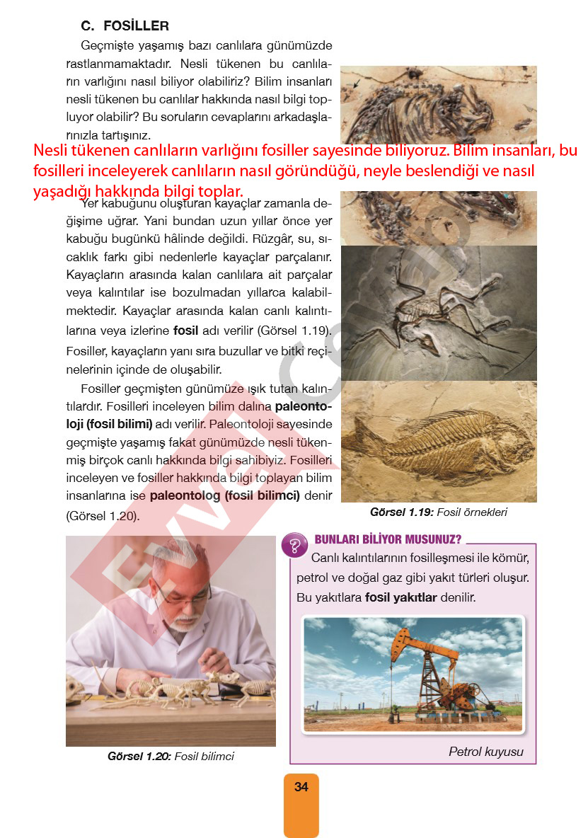 4-sinif-pasifik-yayinlari-fen-bilimleri-ders-kitabi-cevaplari-sayfa-34