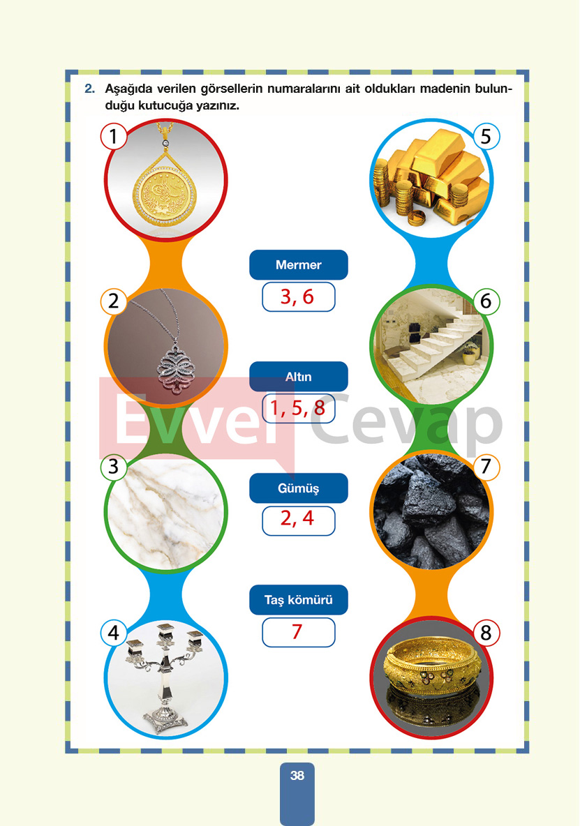 4-sinif-pasifik-yayinlari-fen-bilimleri-ders-kitabi-cevaplari-sayfa-38