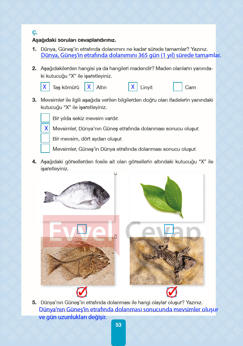 4-sinif-pasifik-yayinlari-fen-bilimleri-ders-kitabi-cevaplari-sayfa-53