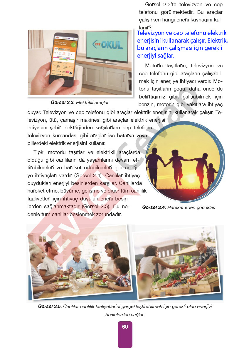 4-sinif-pasifik-yayinlari-fen-bilimleri-ders-kitabi-cevaplari-sayfa-60