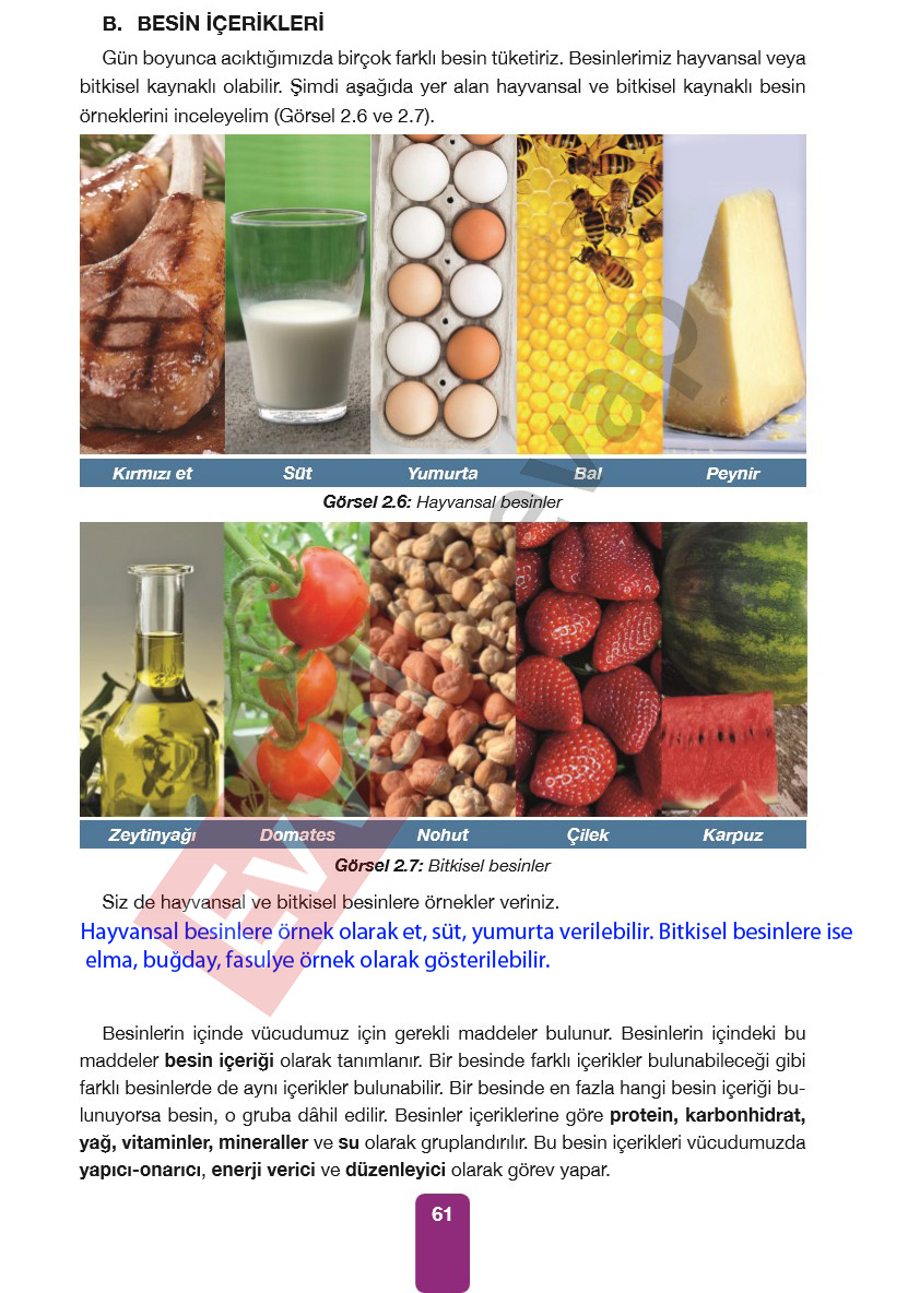 4-sinif-pasifik-yayinlari-fen-bilimleri-ders-kitabi-cevaplari-sayfa-61