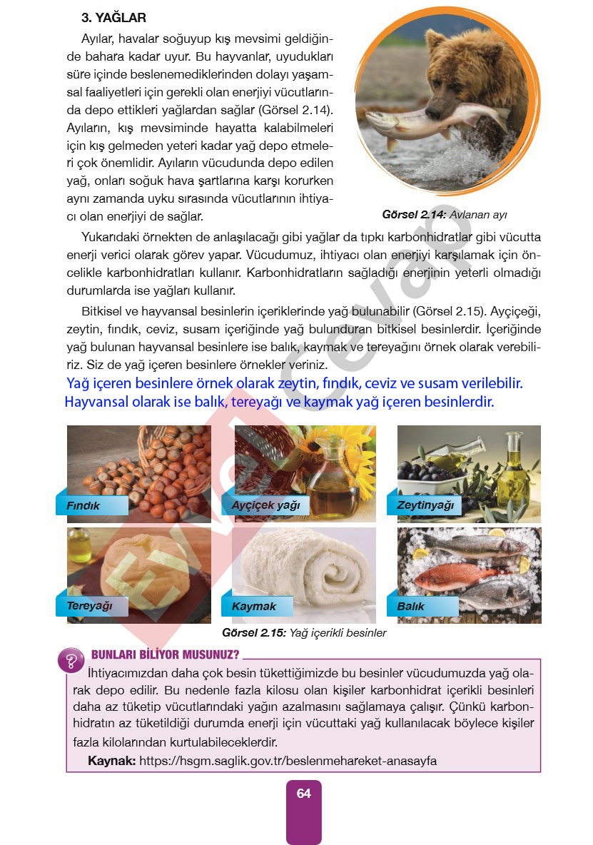 4-sinif-pasifik-yayinlari-fen-bilimleri-ders-kitabi-cevaplari-sayfa-64