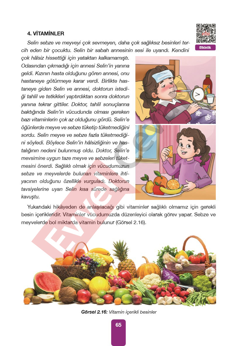 4-sinif-pasifik-yayinlari-fen-bilimleri-ders-kitabi-cevaplari-sayfa-65