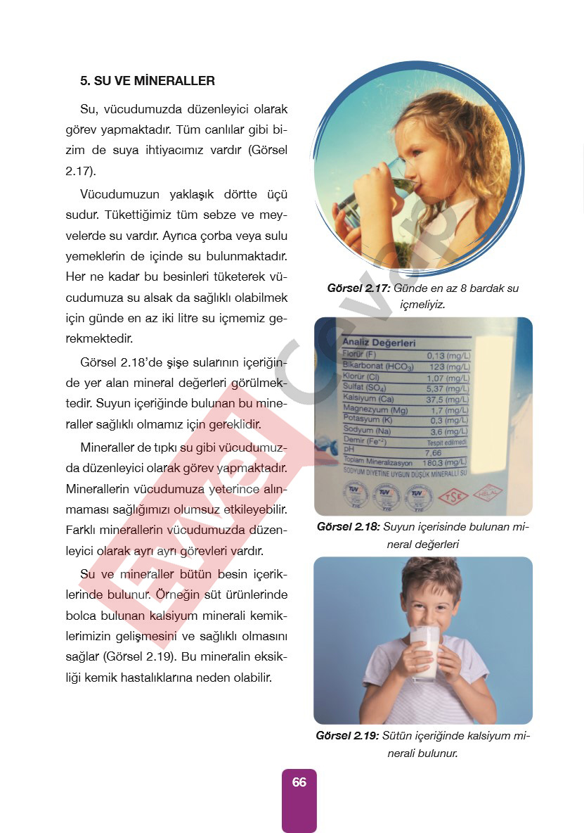 4-sinif-pasifik-yayinlari-fen-bilimleri-ders-kitabi-cevaplari-sayfa-66