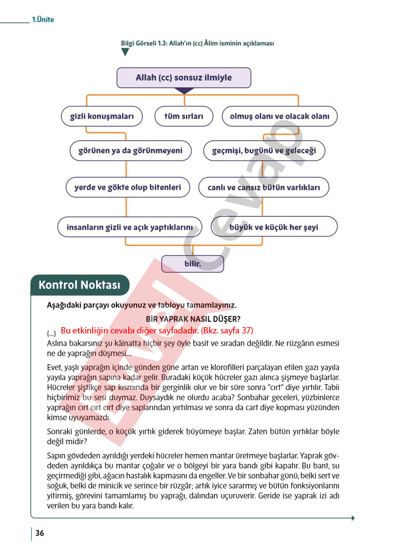 5-sinif-din-kulturu-ders-kitabi-cevaplari-meb-sayfa-36