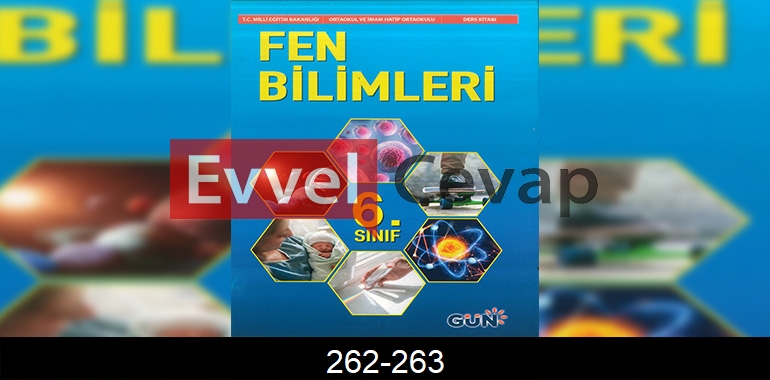 6. Sınıf Fen Bilimleri Ders Kitabı Cevapları Gün Yayıncılık Sayfa 262-263