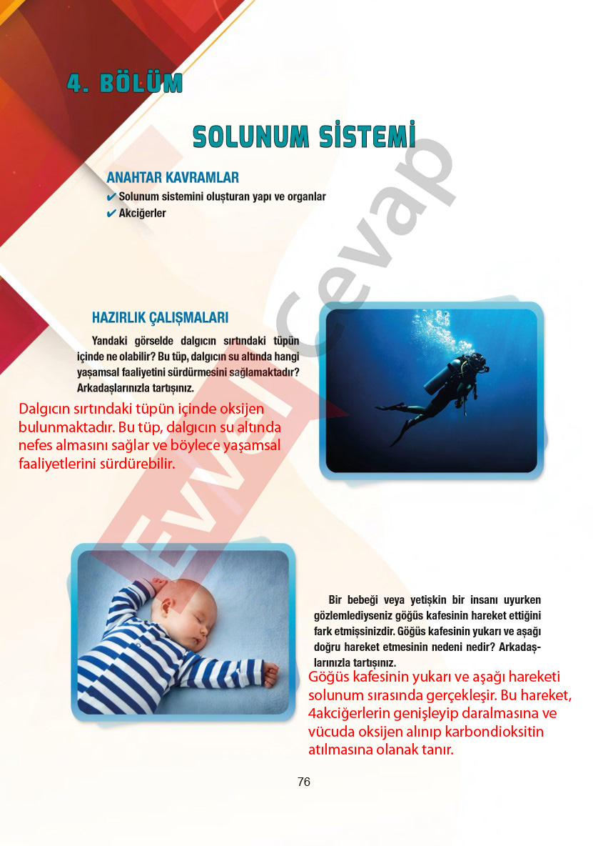 6-sinif-fen-bilimleri-ders-kitabi-cevaplari-gun-yayincilik-sayfa-76