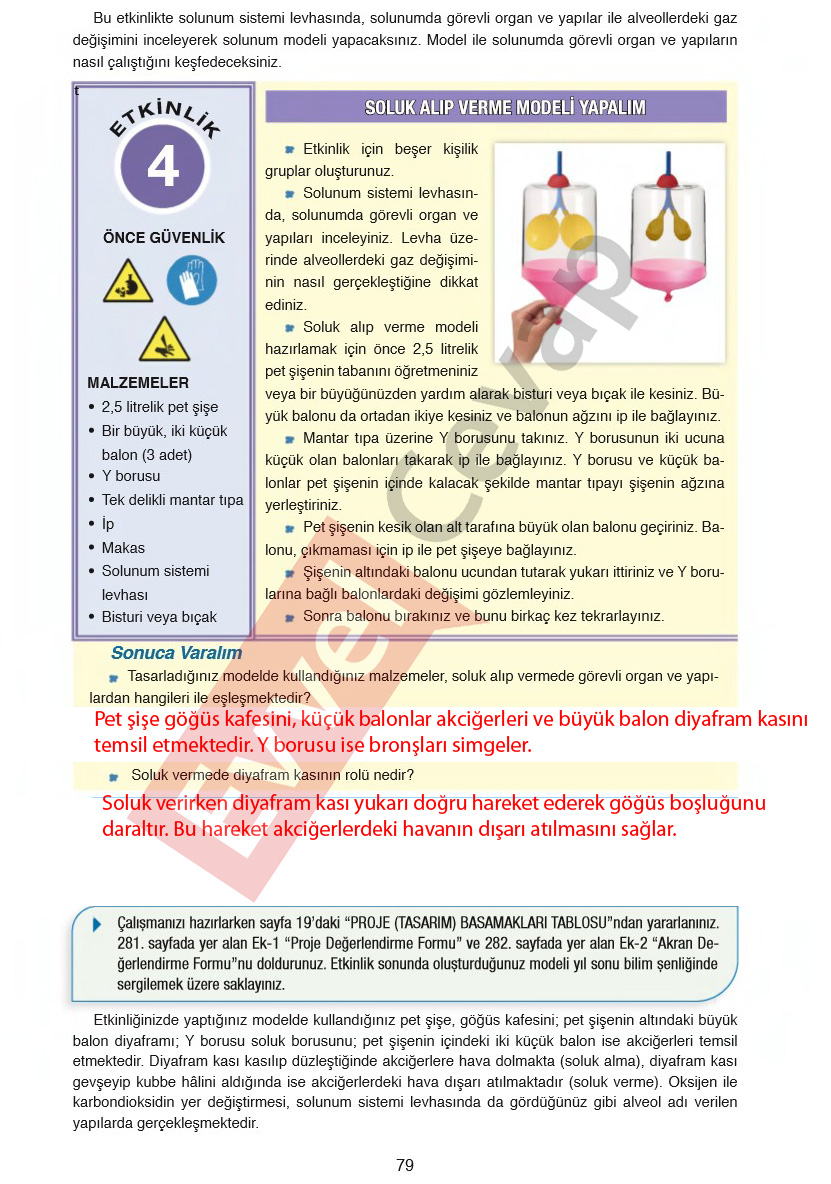 6-sinif-fen-bilimleri-ders-kitabi-cevaplari-gun-yayincilik-sayfa-79