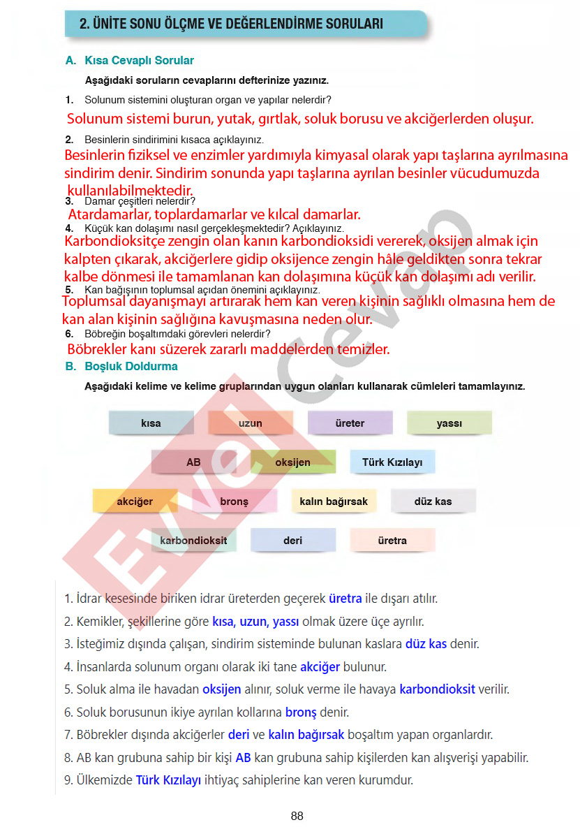 6-sinif-fen-bilimleri-ders-kitabi-cevaplari-gun-yayincilik-sayfa-88