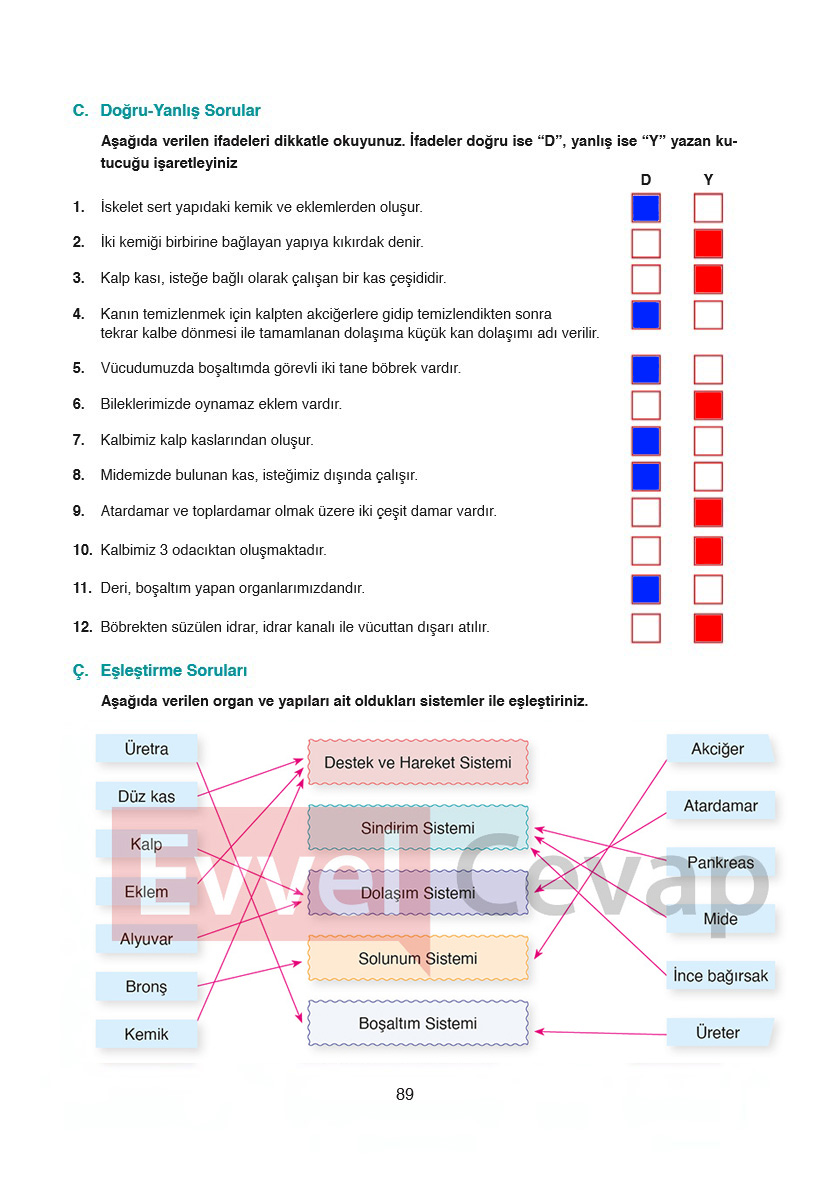 6-sinif-fen-bilimleri-ders-kitabi-cevaplari-gun-yayincilik-sayfa-89
