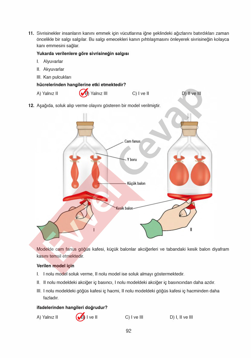 6-sinif-fen-bilimleri-ders-kitabi-cevaplari-gun-yayincilik-sayfa-92