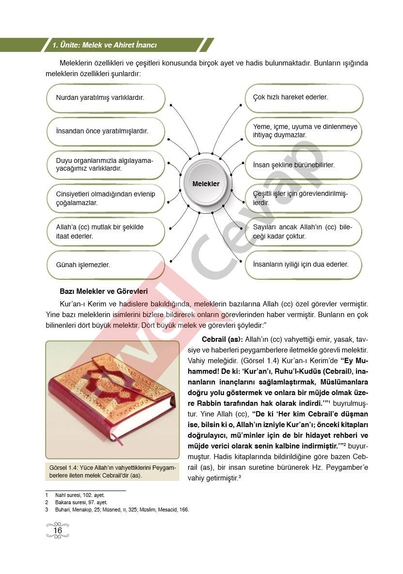7-sinif-din-kulturu-ders-kitabi-cevaplari-erkad-sayfa-16