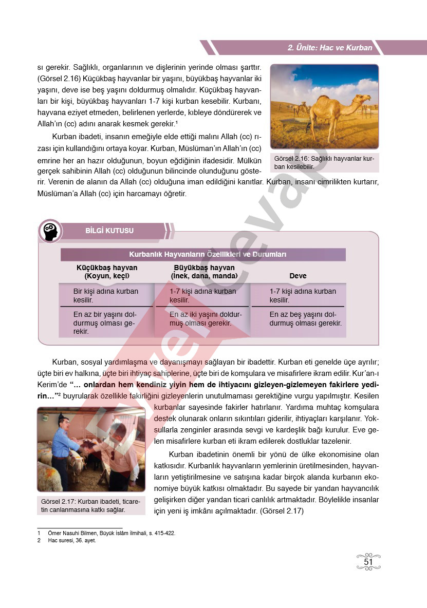 7-sinif-din-kulturu-ders-kitabi-cevaplari-erkad-sayfa-51