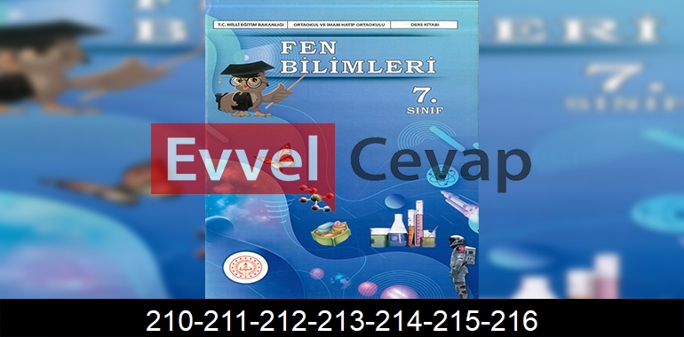 7. Sınıf Fen Bilimleri Ders Kitabı Cevapları Sayfa 210-211-212-213-214-215-216