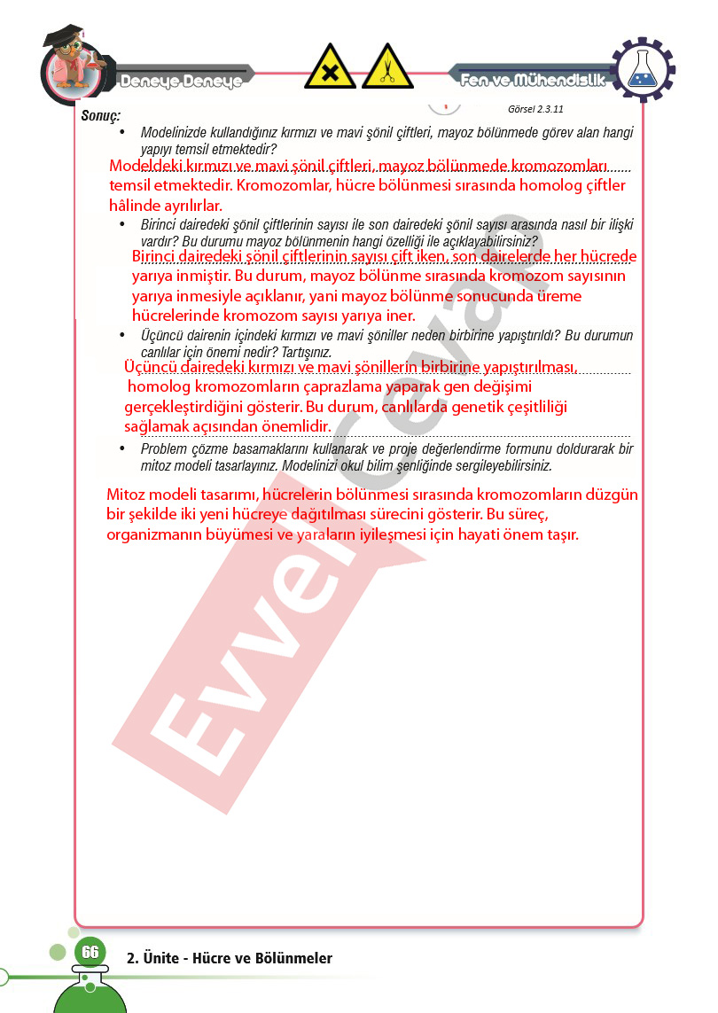 7-sinif-fen-bilimleri-ders-kitabi-cevaplari-sayfa-66