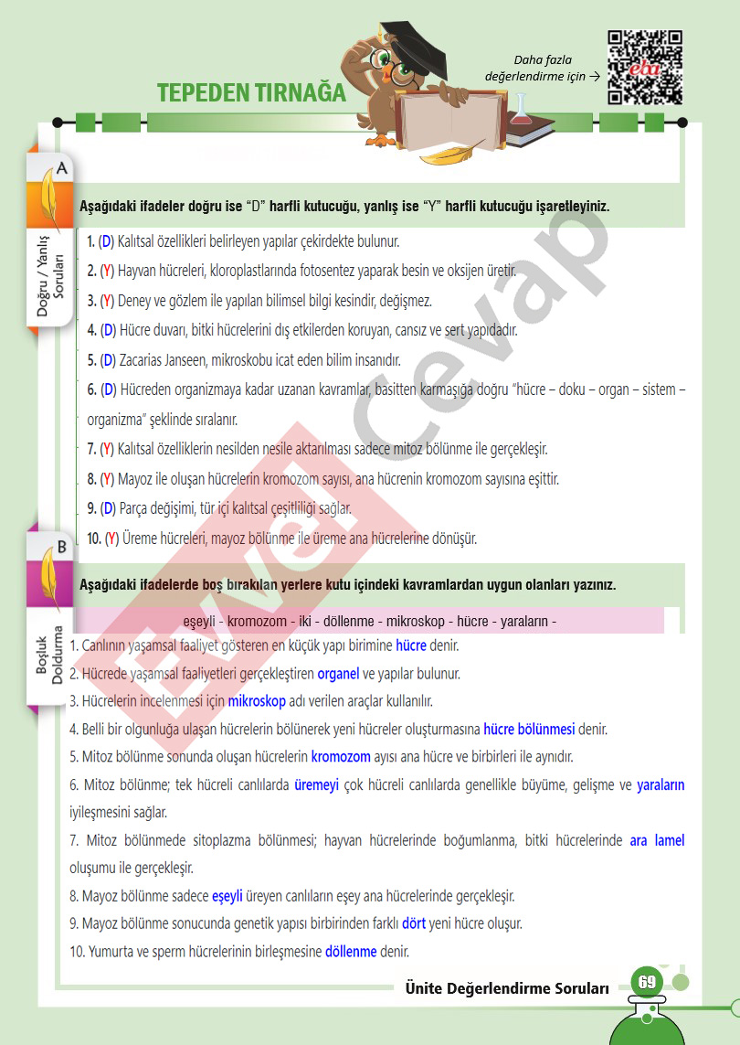 7-sinif-fen-bilimleri-ders-kitabi-cevaplari-sayfa-69