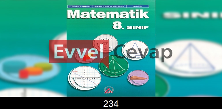 8. Sınıf Matematik Ders Kitabı Cevapları Ada Matbaacılık Sayfa 234