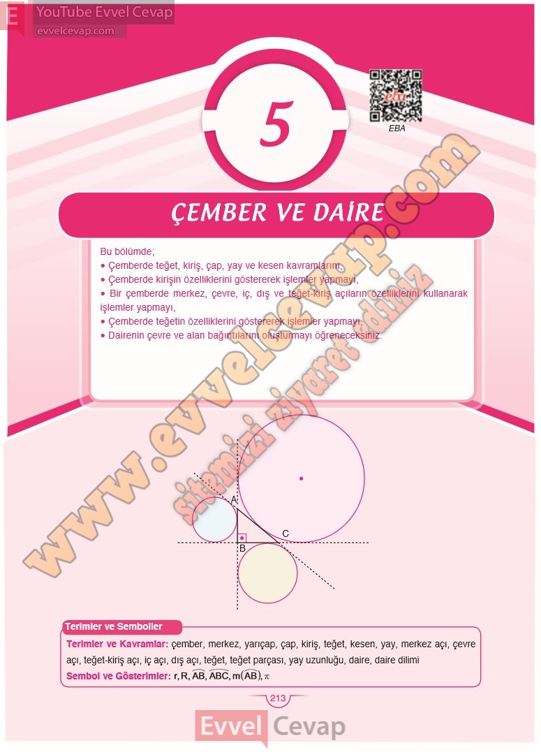 11-sinif-matematik-ders-kitabi-cevabi-sdr-dikey-sayfa-213