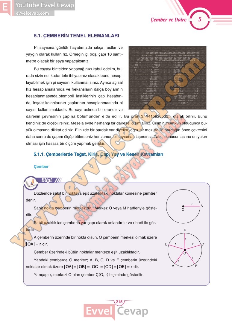 11-sinif-matematik-ders-kitabi-cevabi-sdr-dikey-sayfa-215