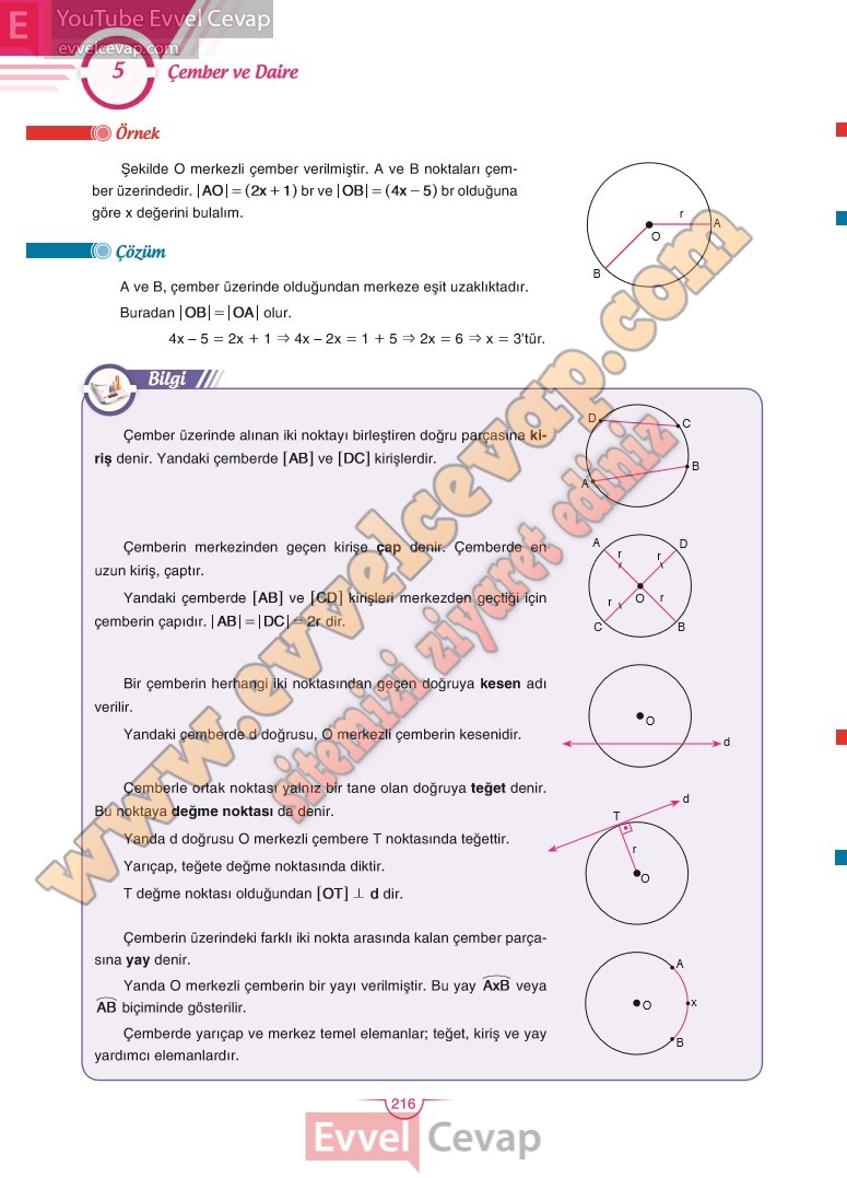 11-sinif-matematik-ders-kitabi-cevabi-sdr-dikey-sayfa-216