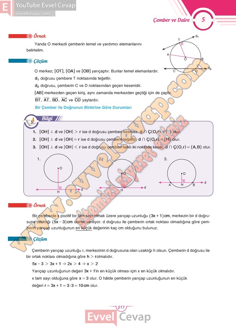 11-sinif-matematik-ders-kitabi-cevabi-sdr-dikey-sayfa-217