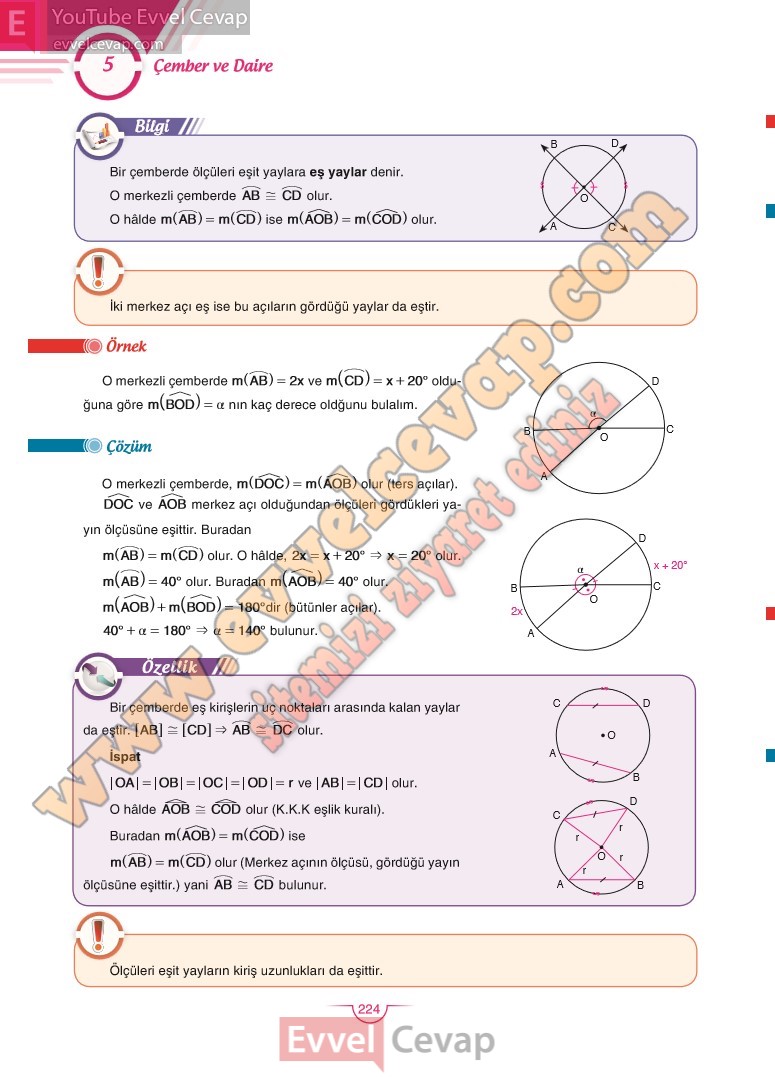 11-sinif-matematik-ders-kitabi-cevabi-sdr-dikey-sayfa-224
