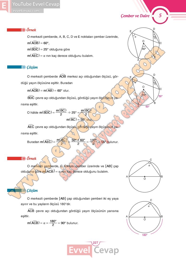 11-sinif-matematik-ders-kitabi-cevabi-sdr-dikey-sayfa-227