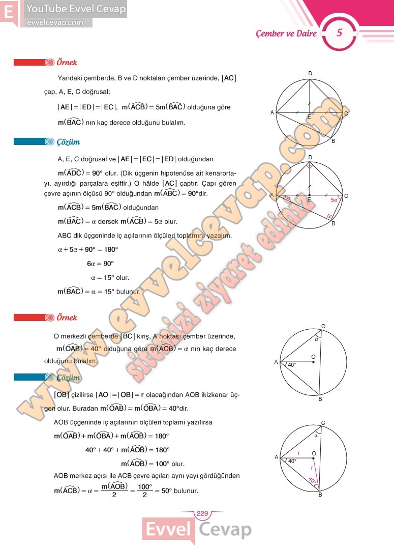 11-sinif-matematik-ders-kitabi-cevabi-sdr-dikey-sayfa-229