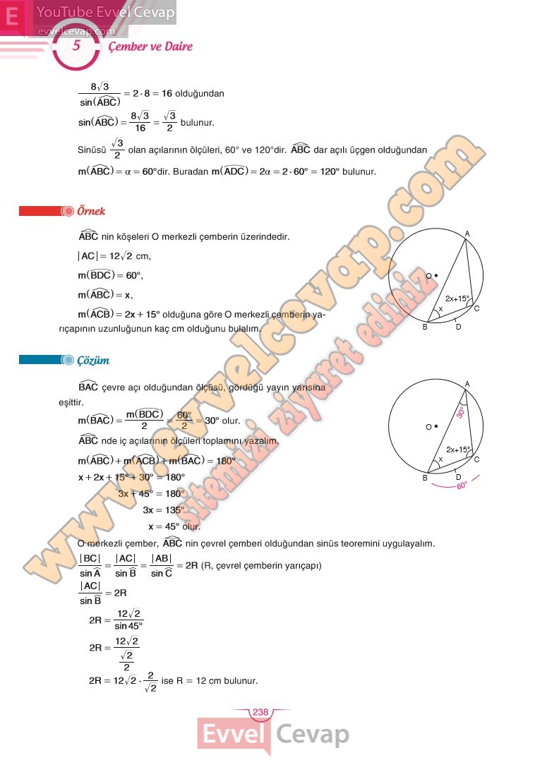 11-sinif-matematik-ders-kitabi-cevabi-sdr-dikey-sayfa-238