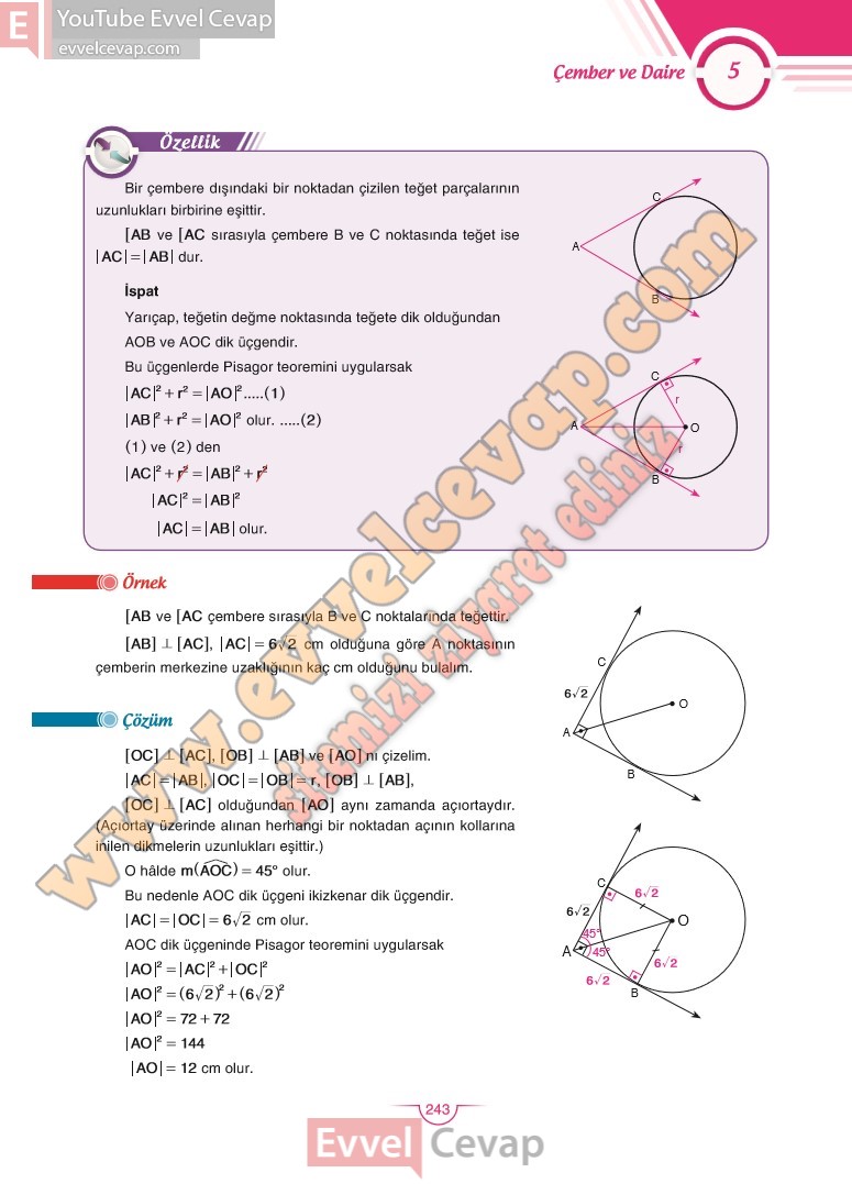 11-sinif-matematik-ders-kitabi-cevabi-sdr-dikey-sayfa-243