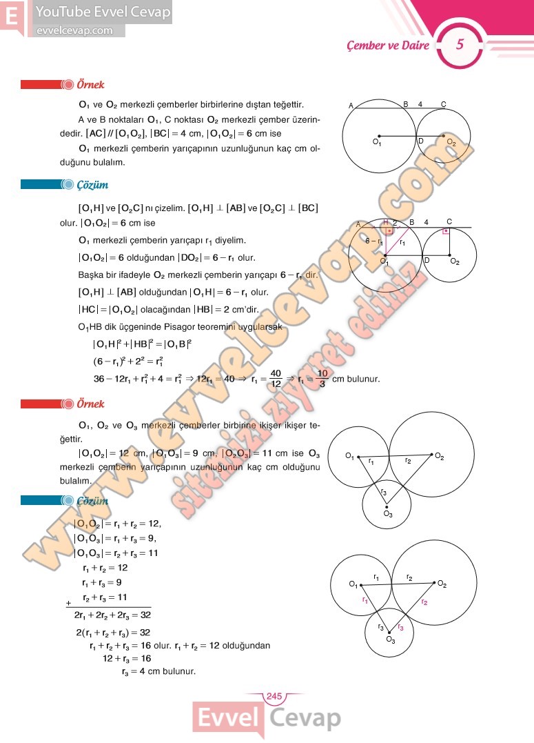 11-sinif-matematik-ders-kitabi-cevabi-sdr-dikey-sayfa-245