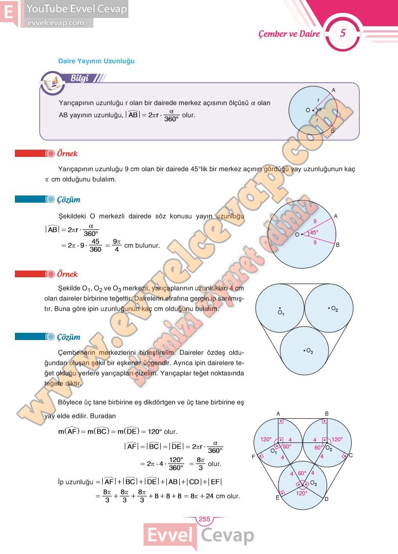 11-sinif-matematik-ders-kitabi-cevabi-sdr-dikey-sayfa-255