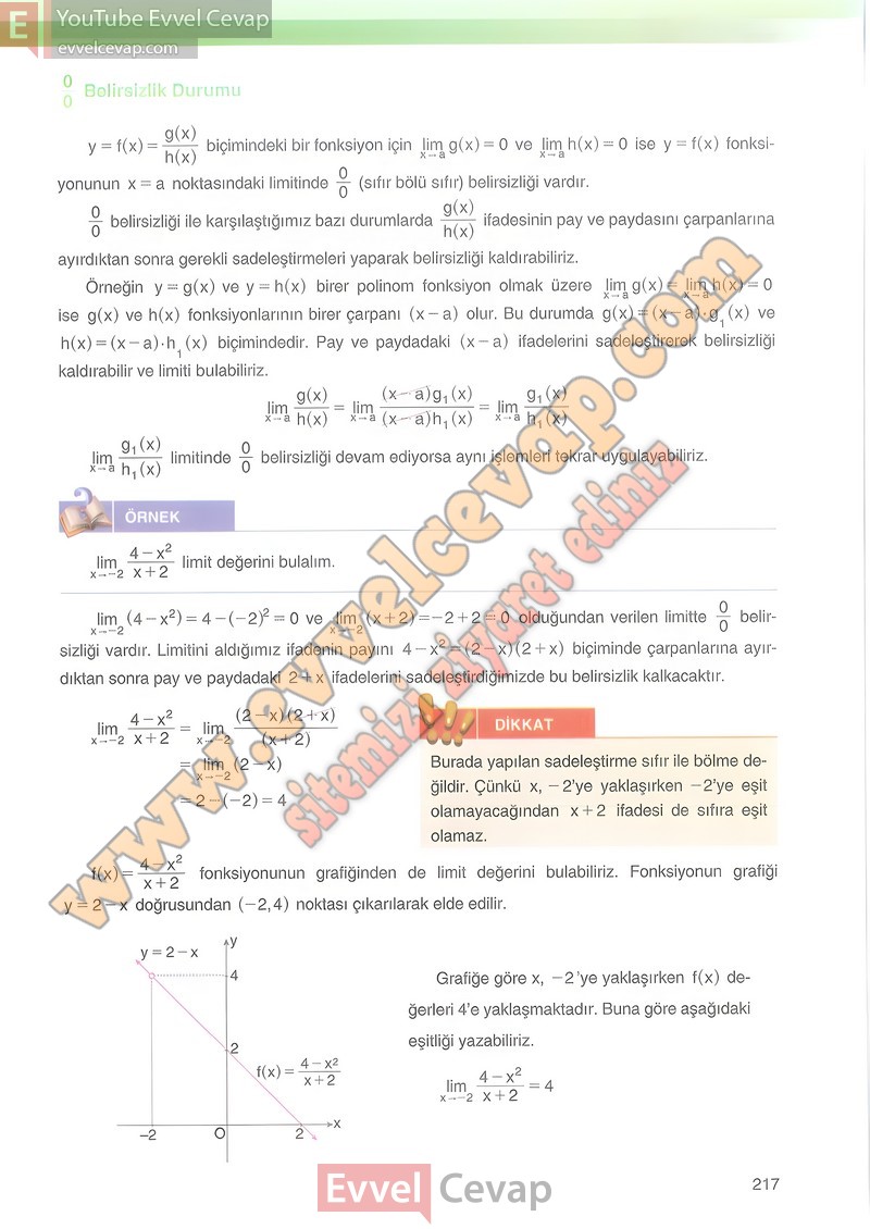 12-sinif-matematik-ders-kitabi-cevabi-melis-sayfa-217