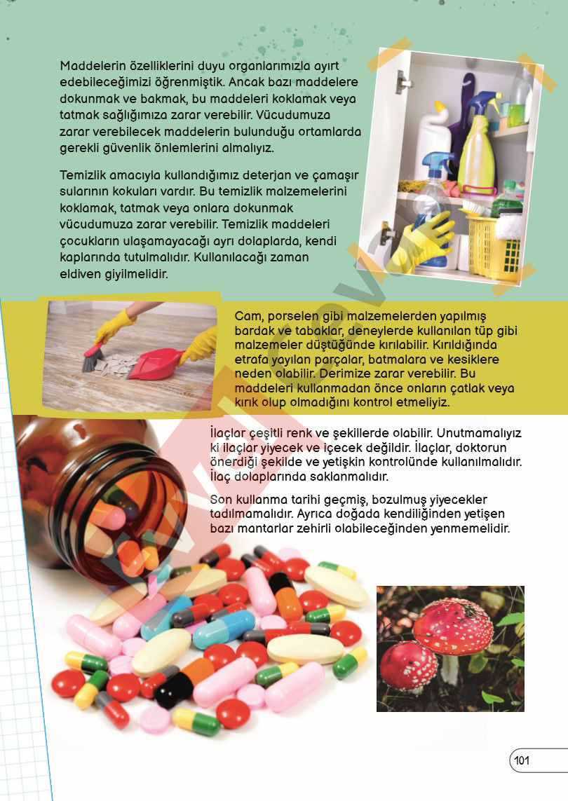 3-sinif-fen-bilimleri-ders-kitabi-cevaplari-sayfa-101