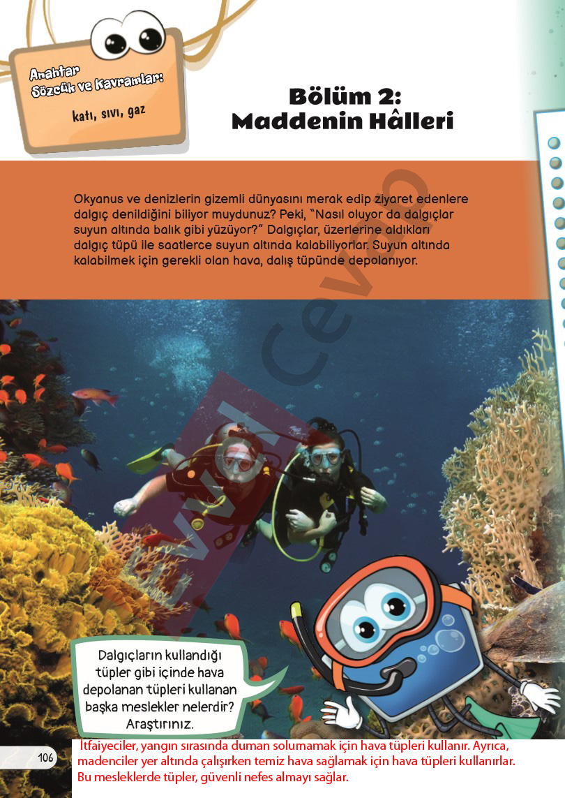 3-sinif-fen-bilimleri-ders-kitabi-cevaplari-sayfa-106