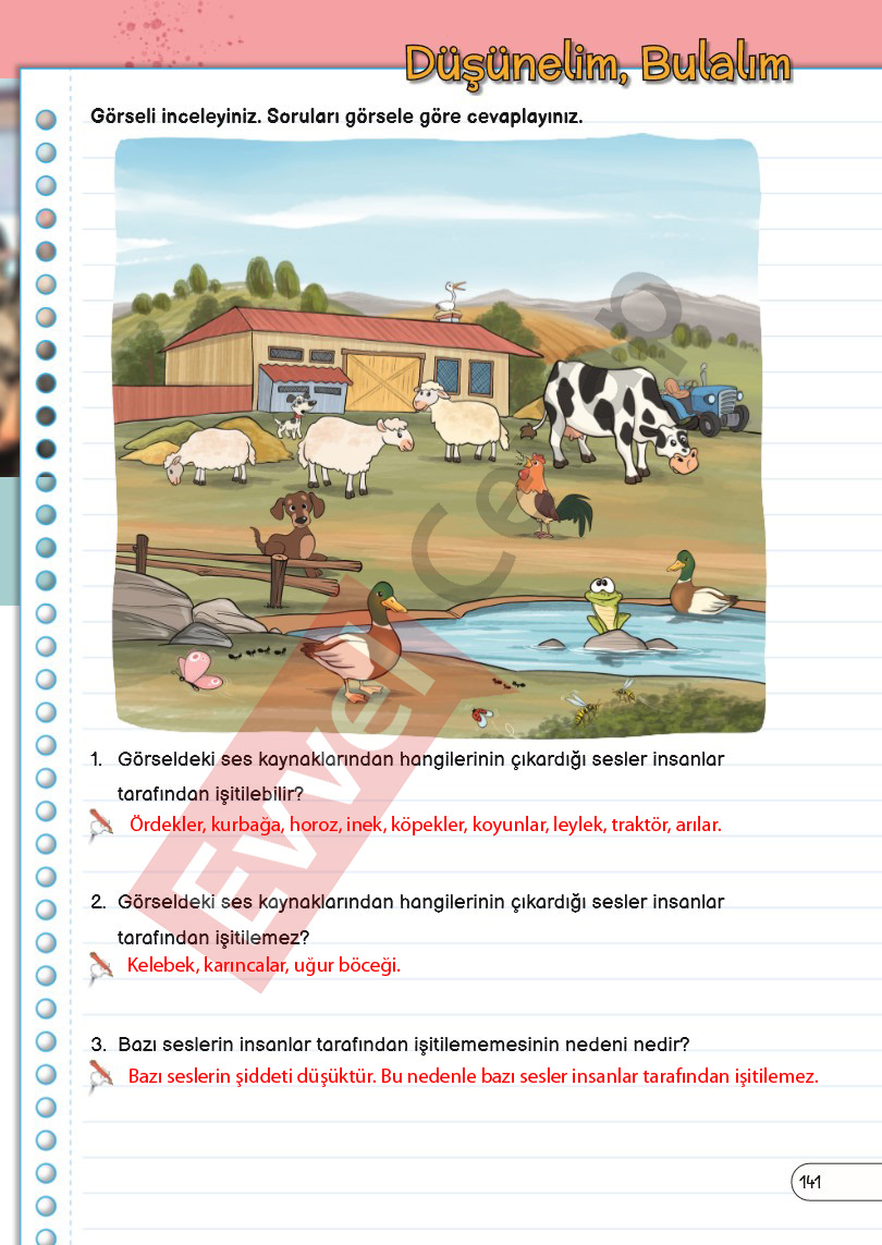 3-sinif-fen-bilimleri-ders-kitabi-cevaplari-sayfa-141