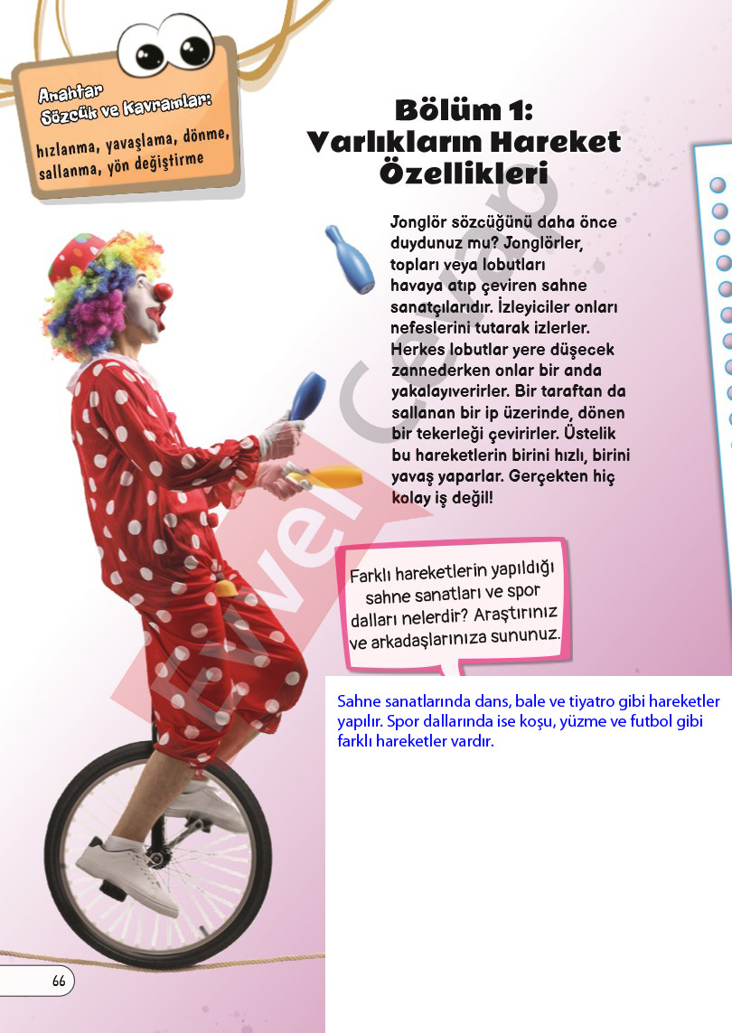 3-sinif-fen-bilimleri-ders-kitabi-cevaplari-sayfa-66