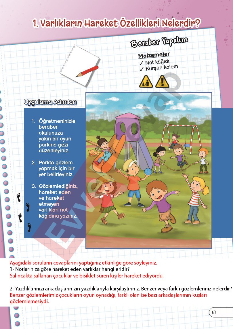 3-sinif-fen-bilimleri-ders-kitabi-cevaplari-sayfa-67