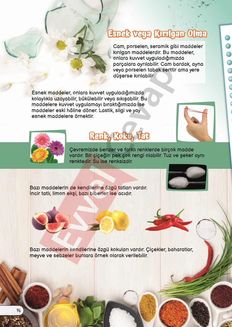 3-sinif-fen-bilimleri-ders-kitabi-cevaplari-sayfa-96